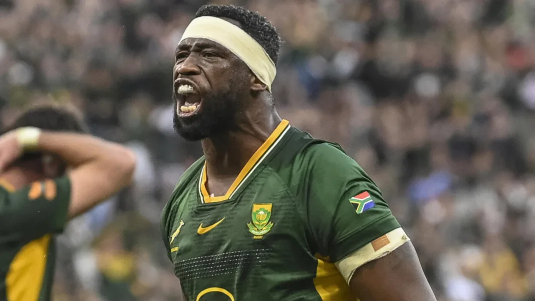 Springboks wary of new-look All Blacks in Baltimore Test