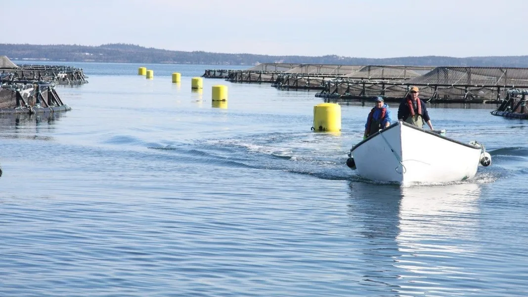 Fish farming prime for growth to meet domestic demand: industry group