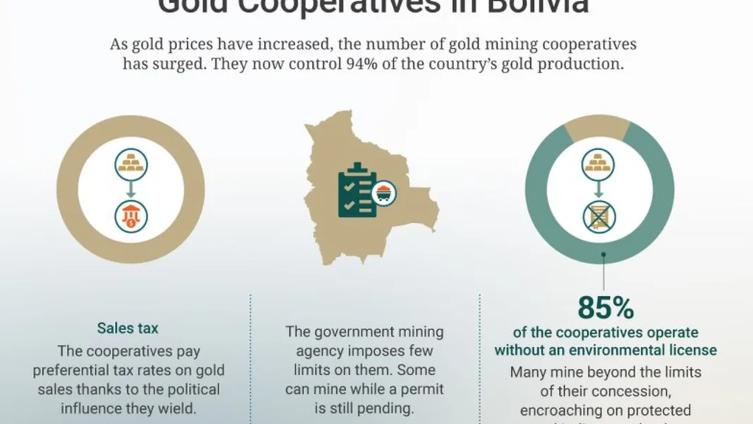 Cooperativa china «empresa boliviana Gold” funcionaba ilegalmente en Viacha