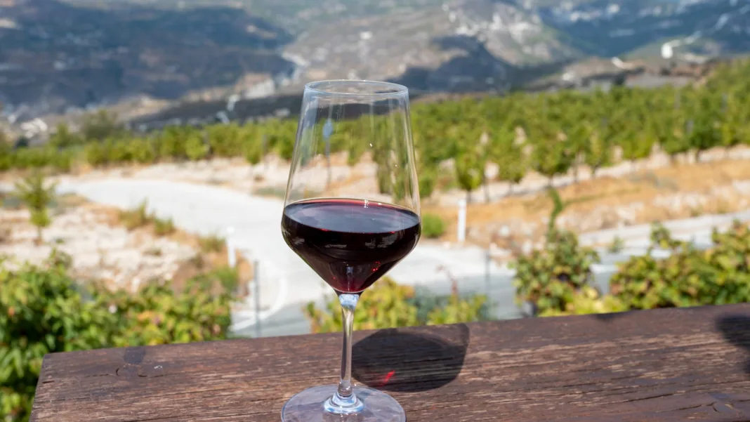 Govt unveils emergency aid for winegrowers hit by downy mildew