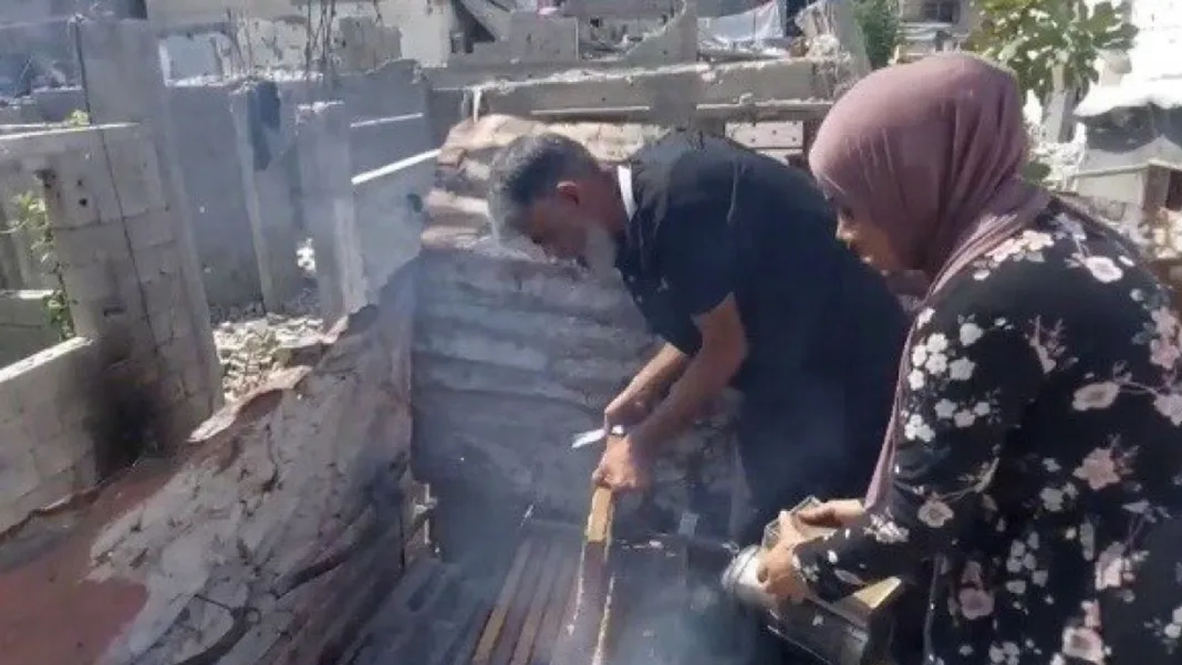 One Hive Survived the War. In Gaza, It Became a Symbol of Hope.