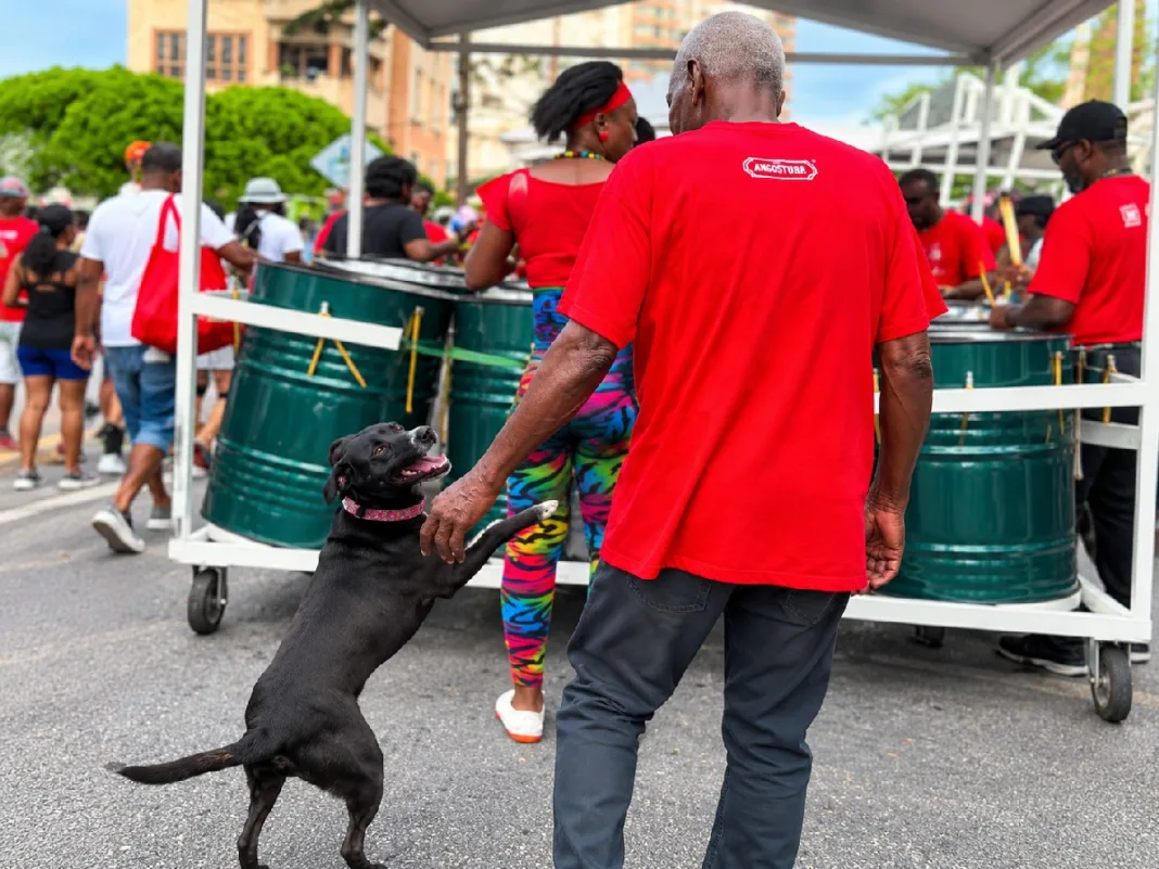 Dog Joins Proman Starlift For Republic Day J’Ouvert Steelpan Vibes
