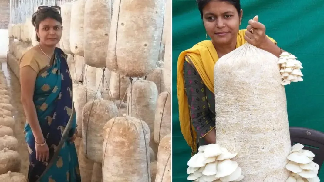 Heartbroken After College Shutdown, Teacher Started Mushroom Farming; Earns Rs 1.5 Lakh/Month