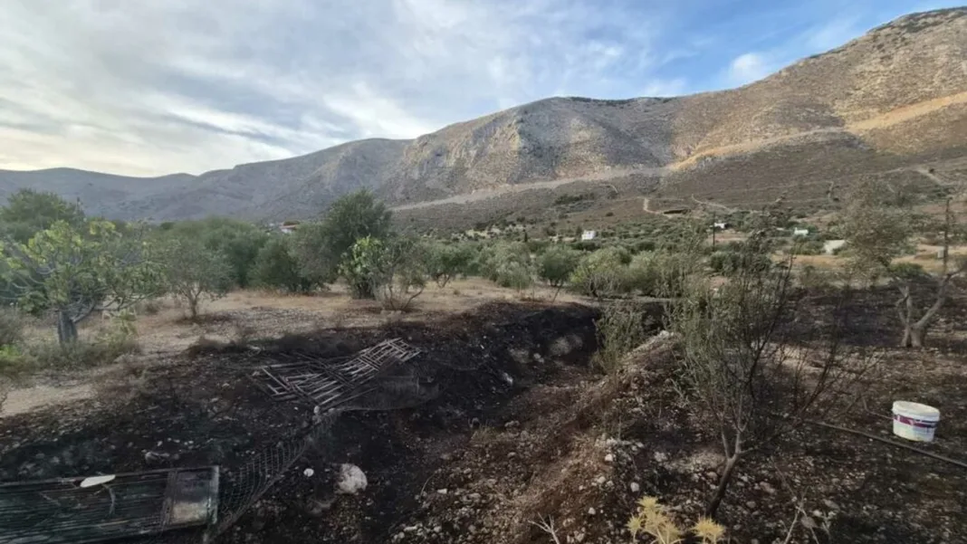 Άμεση επέμβαση του Εθελοντικού Πυροσβεστικού Σταθμού Καλύμνου έθεσε υπό έλεγχο την πυρκαγιά στα Στημένια