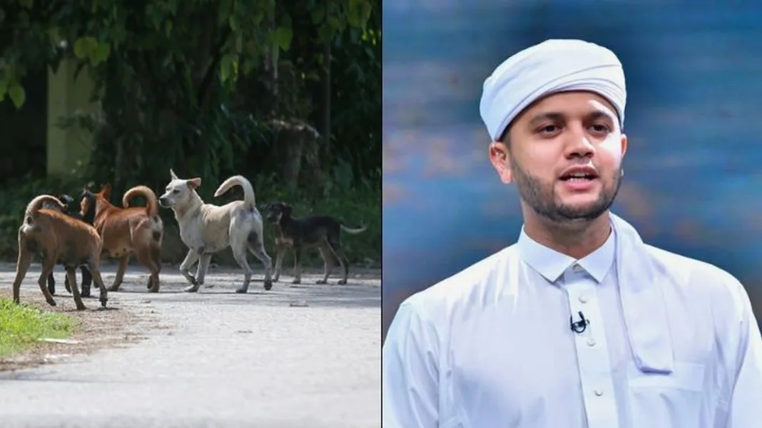 The Dog Debate Malaysia Keeps Having, And The Licensing Fix Nobody Wants To Talk About