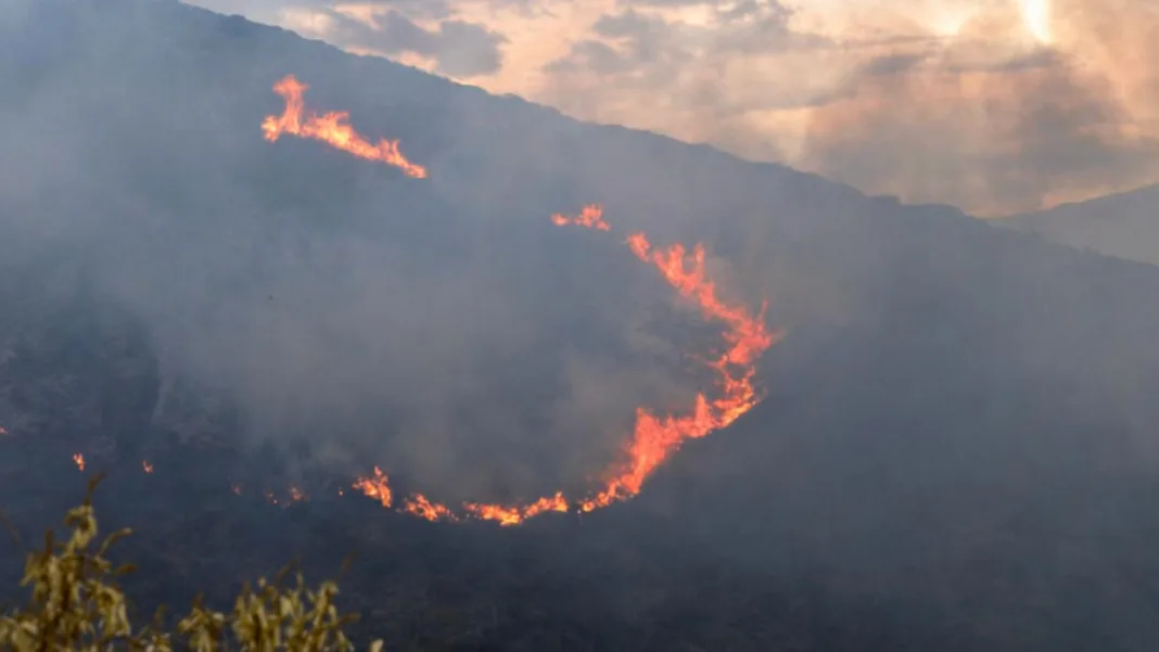 Bomberos combaten reactivación del incendio forestal en cerro Casitagua
