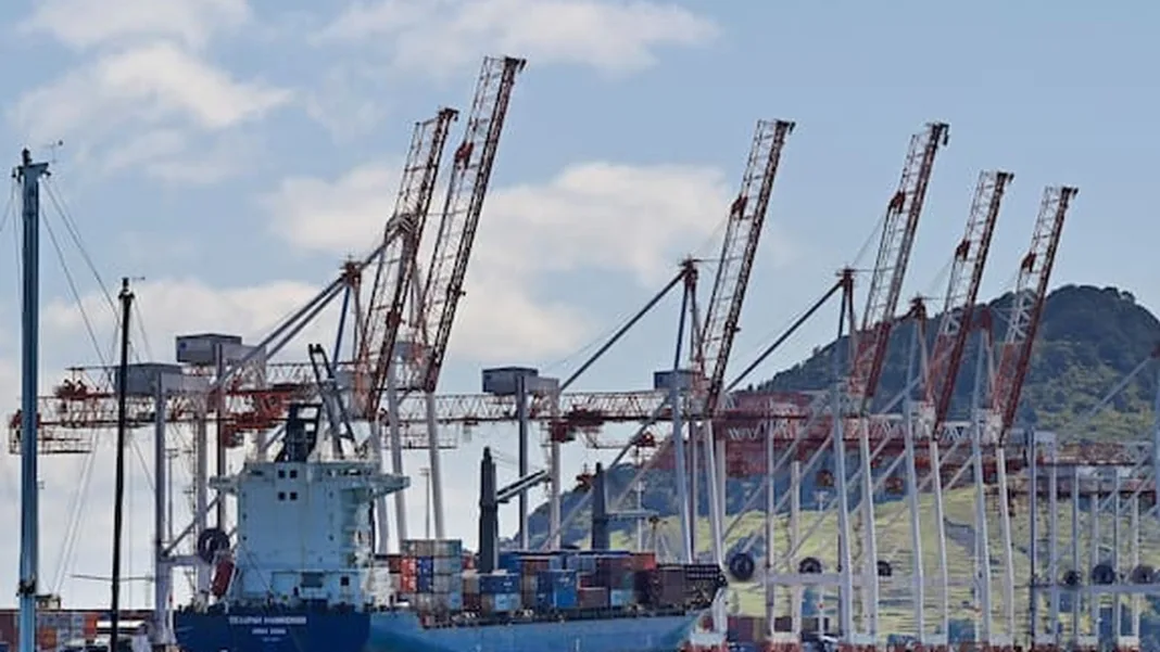 Stella Passage Development Fast-Tracked