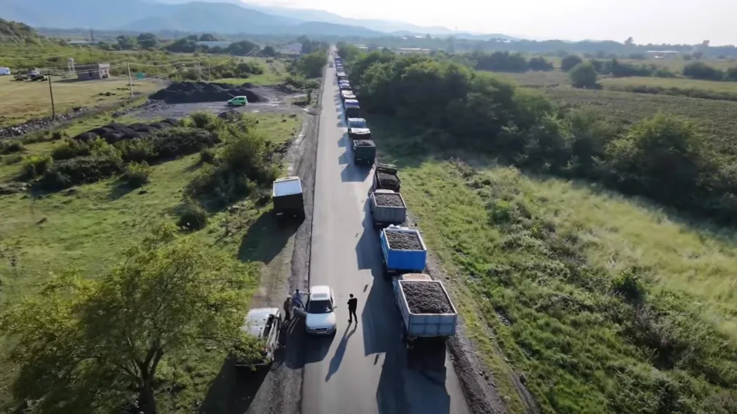 Grape Purchasing Prices Adjusted Amid Kakheti Protests As Officials Expect ‘Unprecedented Harvest’