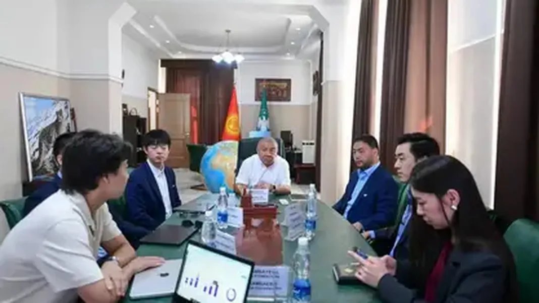 Kyrgyzstan plans to introduce AI into tax administration