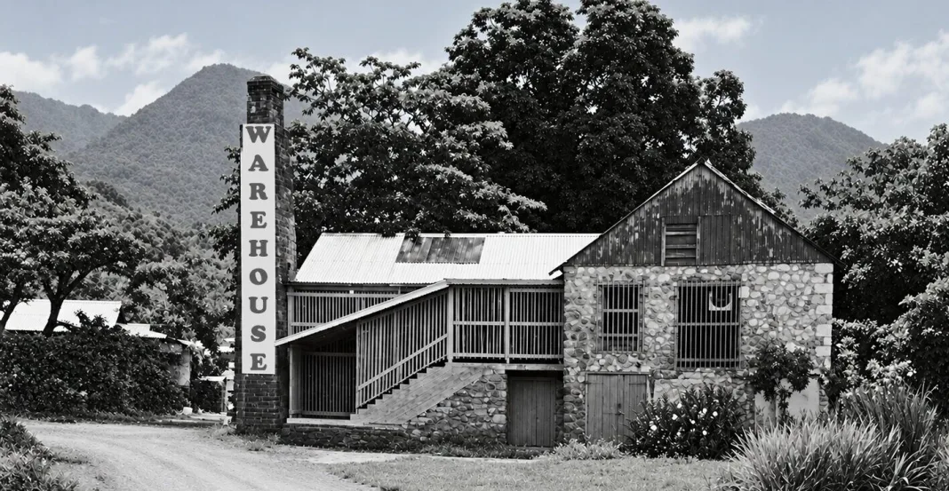 Dominica: COMMENTARY: Warehouse Disco – A summer night in Dominica, 1981