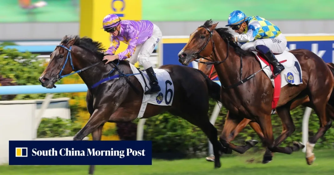 Calmer Little Paradise set to launch Hong Kong Mile mission in Celebration Cup