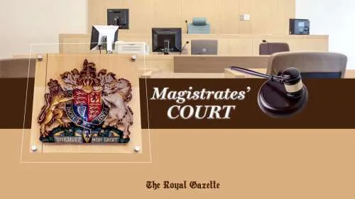 Tourist injured by bus gives evidence in trial