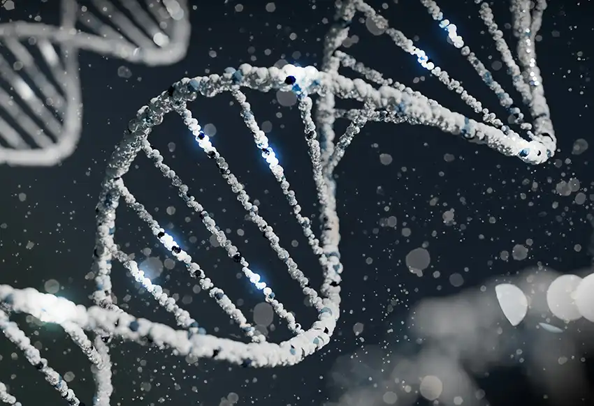 DNA Analysis Confirms Identity of Human Remains