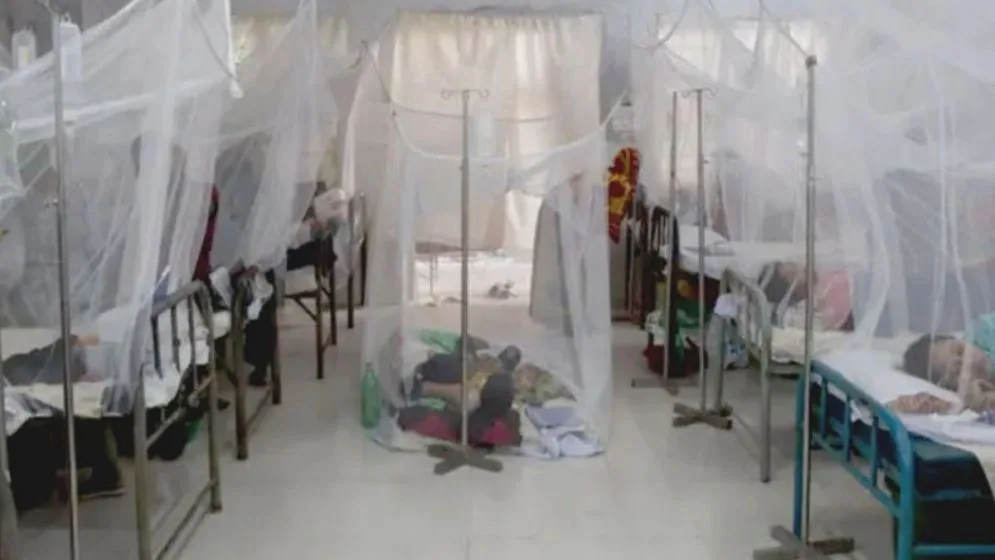 Five more die of dengue, 1,484 hospitalised in 24 hours