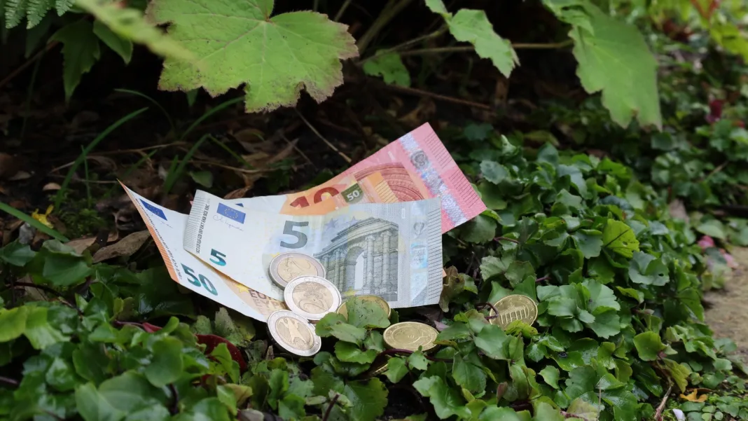 Budgetvriendelijke tuin