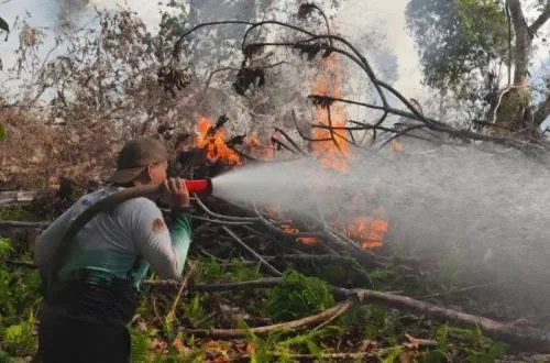 Indonesia Tegaskan Kepatuhan Penuh pada Protokol ASEAN Tangani Karhutla