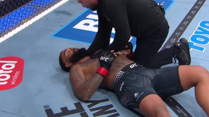 Underdog produces monumental UFC upset