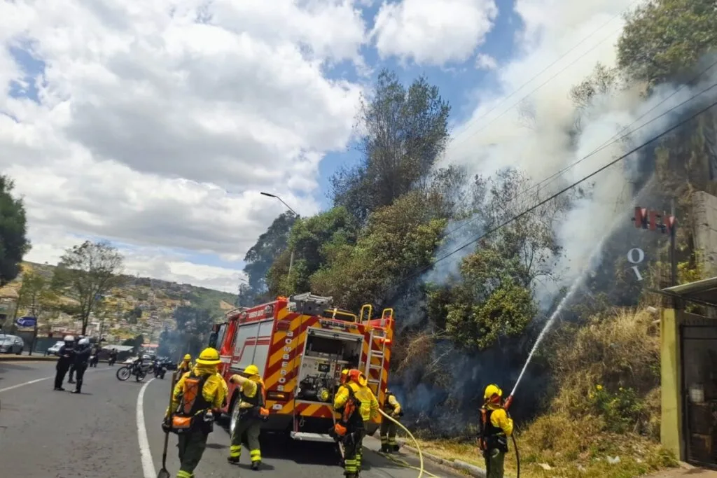 Hombre irá seis meses a prisión por causar incendio forestal en Quito