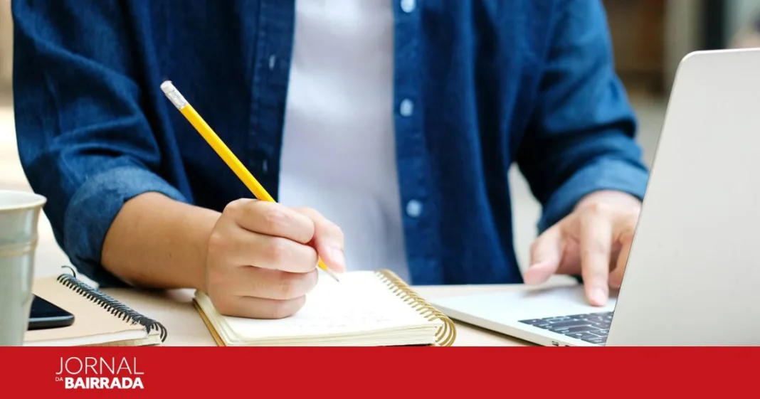 Município de Anadia abre candidaturas às Bolsas de Estudo ao Ensino Superior