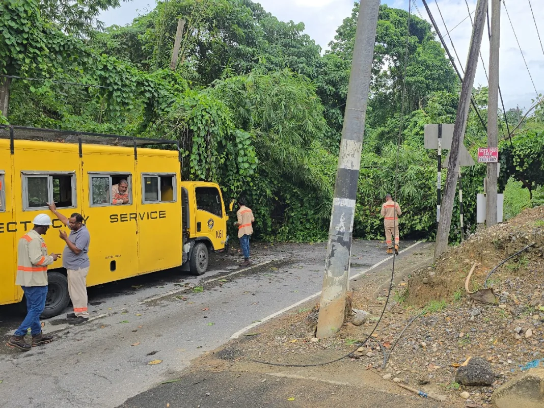 Fallen Tree Blocks Santa Cruz Road, Causes Traffic Disruption And Power Outage