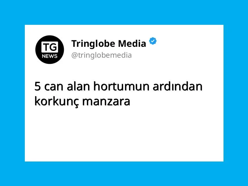 5 can alan hortumun ardından korkunç manzara