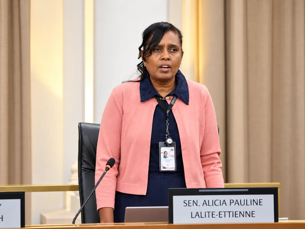 Visually Impaired Senator Raises Concerns Over AI-Generated Budget Documents