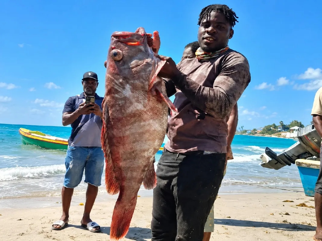 Fisherman Survives 40 Days Adrift Before Rescue In Mexican Waters