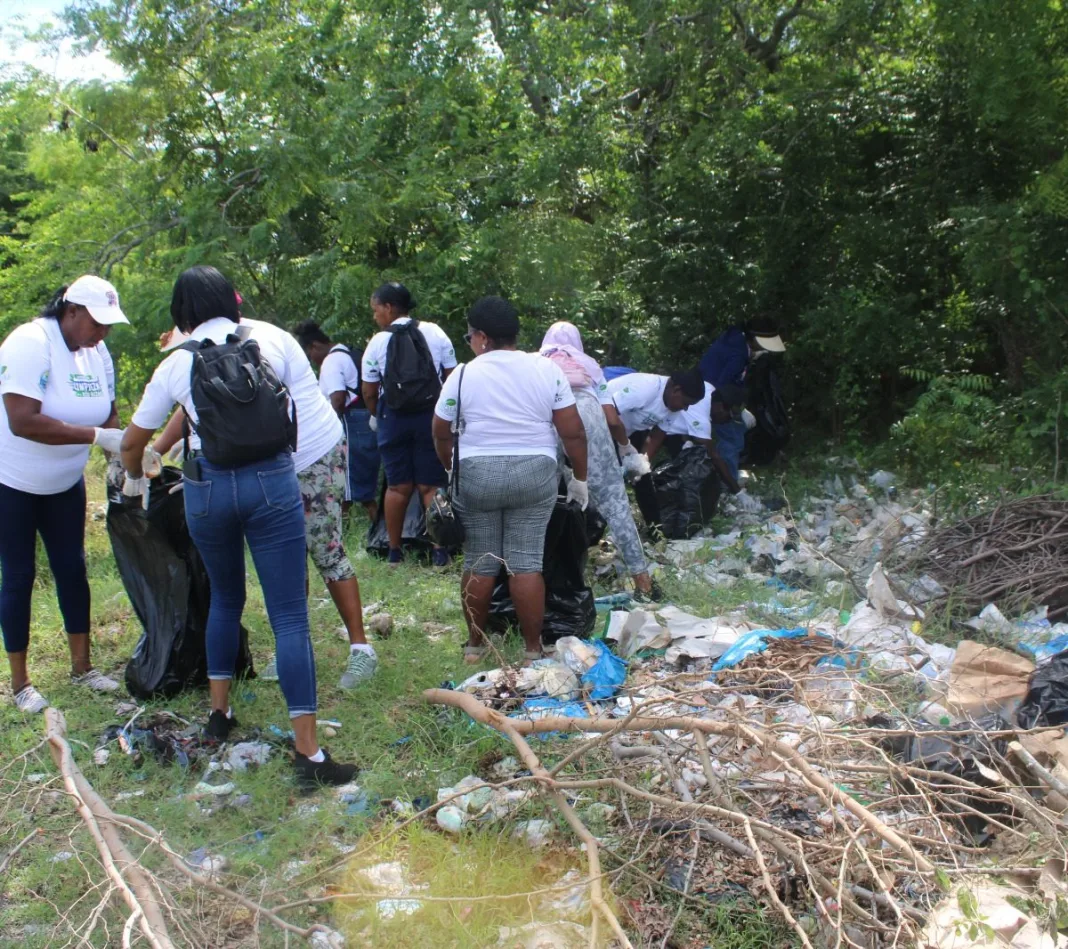 Insaproma y organizaciones ambientales realizan jornada de limpieza en el río Nizao