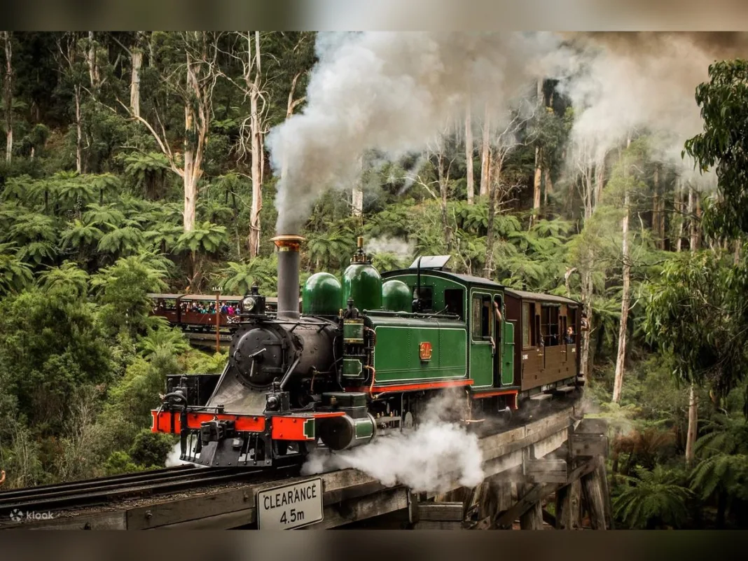 Puffing Billy’s long survival reveals the difference between preservation and working service