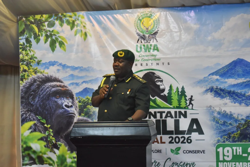 UWA Cuts Gorilla Tracking Fees to $600 for International Tourists Ahead of Kisoro Festival