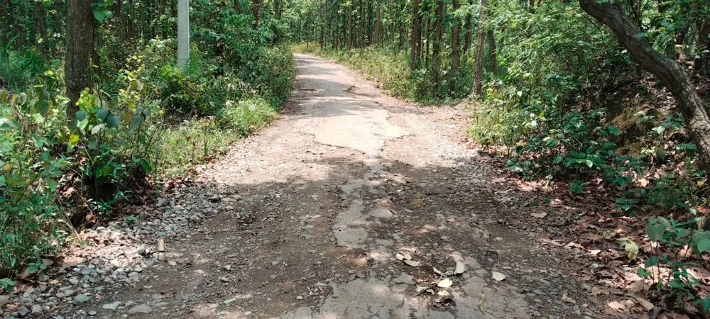 काँक्रेविहार जाने सडक जीर्ण