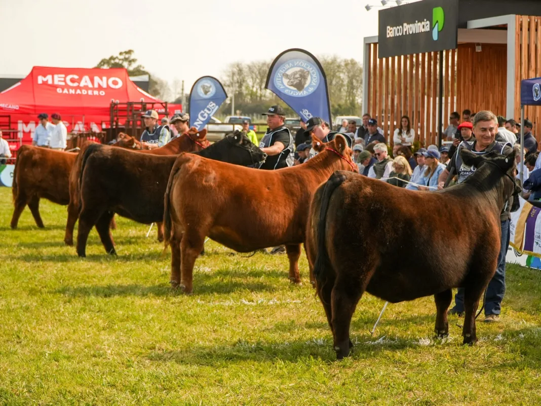 La compra de un campo de 8.600 hectáreas revoluciona el negocio ganadero