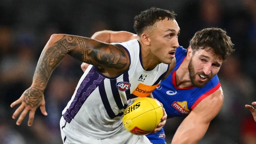 MELBOURNE, AUSTRALIA - MAY 01: Shai Bolton of the Dockers handballs whilst being tackled by Marcus Bontempelli of the Bulldogs during the round eight AFL match between Western Bulldogs and Fremantle Dockers at Marvel Stadium, on May 01, 2026, in Melbourne, Australia. (Photo by Quinn Rooney/Getty Images via AFL Photos)