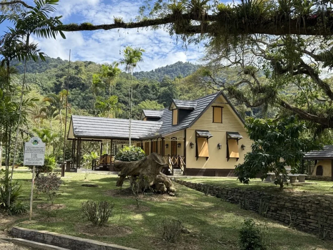 Lopinot’s Cocoa Estate History Reveals the Layered Origins of a Trinidad Village