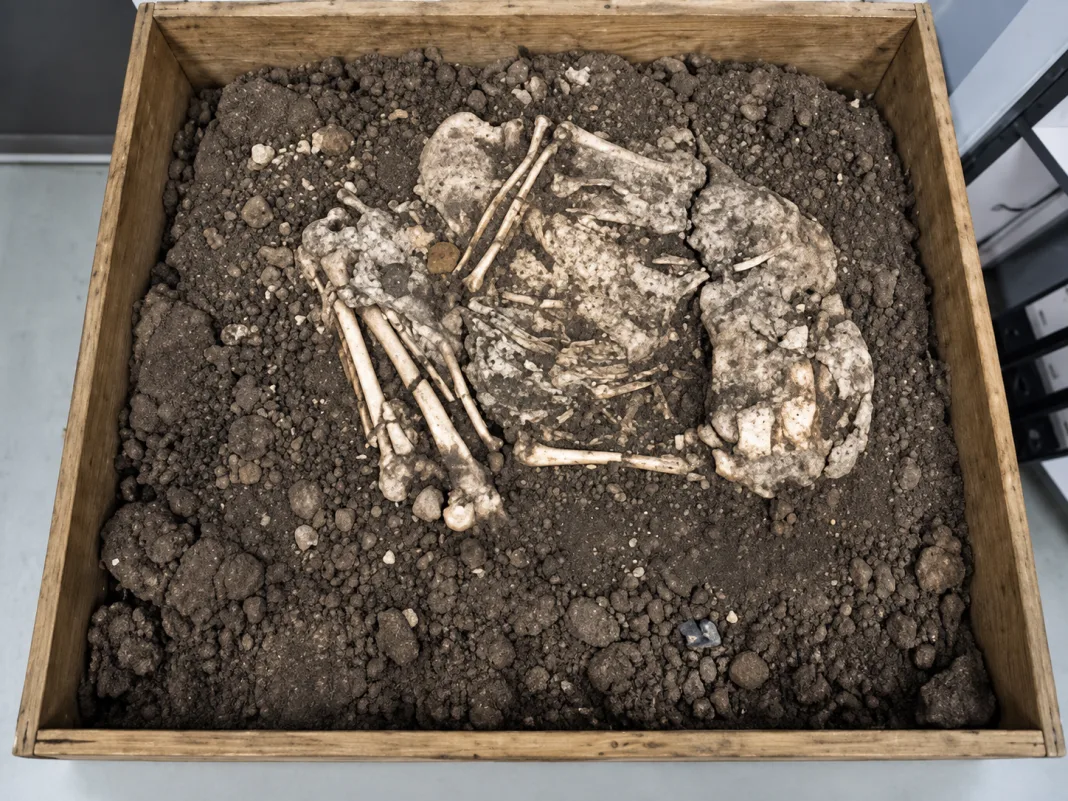 Banwari Woman Reveals a Human Story Buried in Trinidad for Thousands of Years