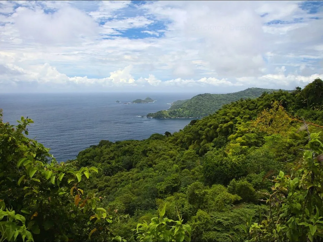 How Tobago Protected Main Ridge Forest in 1776 to Safeguard Rainfall and Farmland