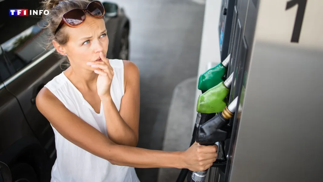 De 0,02 à 3,93 euros le litre : dans quels pays du monde le plein de carburant coûte-t-il le moins et le plus cher ?