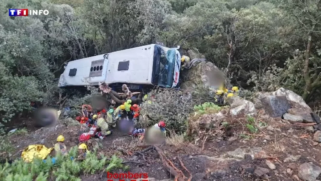 83 blessés après la chute d’un bus dans un ravin en Espagne