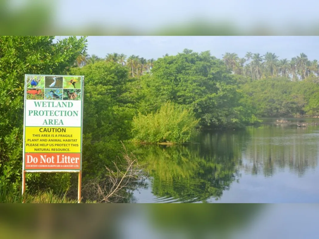 Ibis documentary contributors urge action on plans to protect Trinidad and Tobago’s wetlands