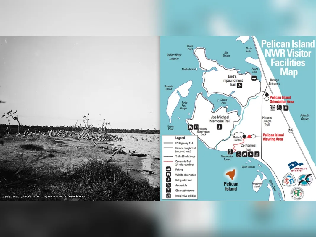How Pelican Island Helped Launch America’s National Wildlife Refuge System