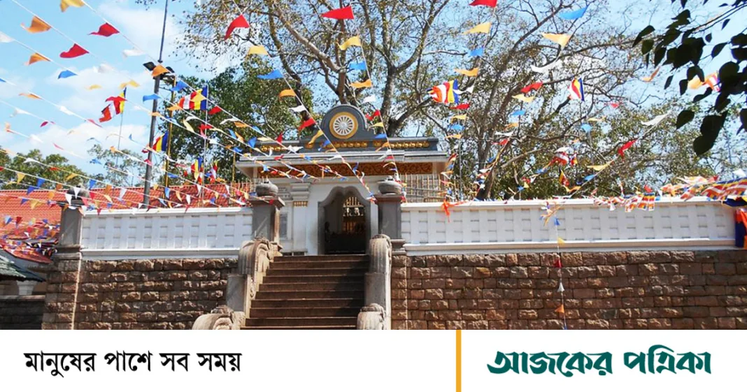 প্রকৃতির চিরন্তন সাক্ষী, পৃথিবীর প্রাচীনতম ১০ জীবন্ত বিস্ময়