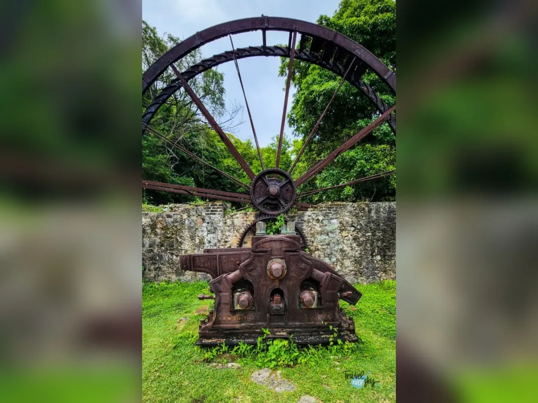 The Savannah’s old fountain and cattle trough reveal Port of Spain’s water history