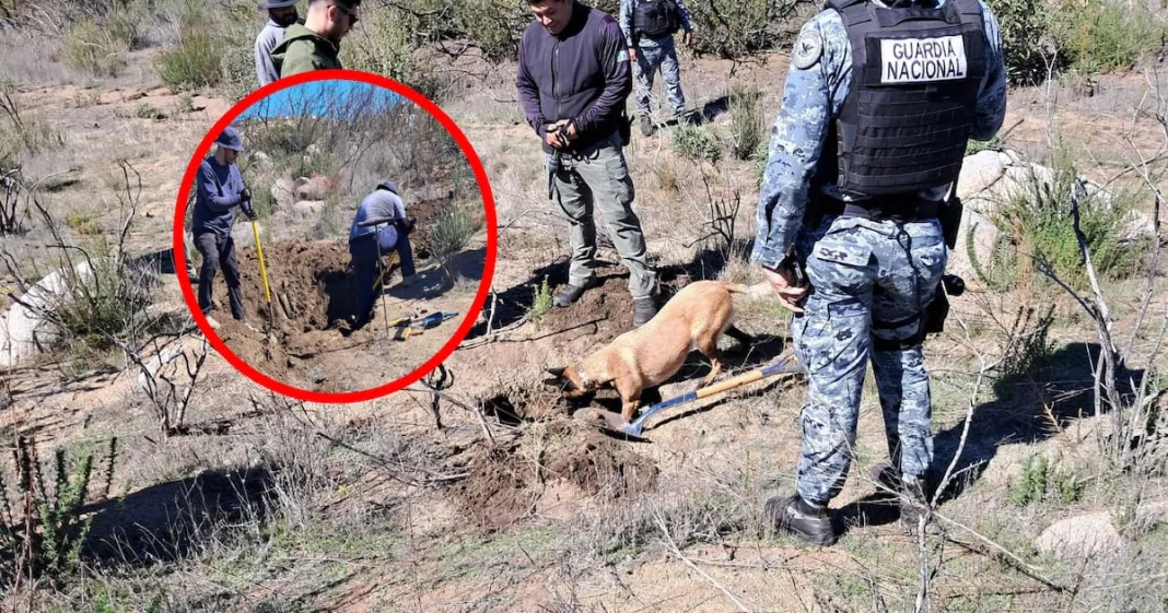 Localizan tres cuerpos durante búsqueda en Tecate; uno presenta tatuajes distintivos