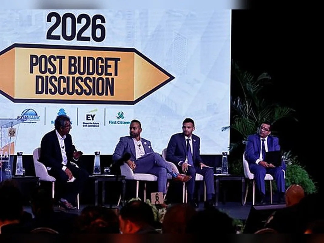 Economist warns forex shortages will persist despite 2027 gas boost