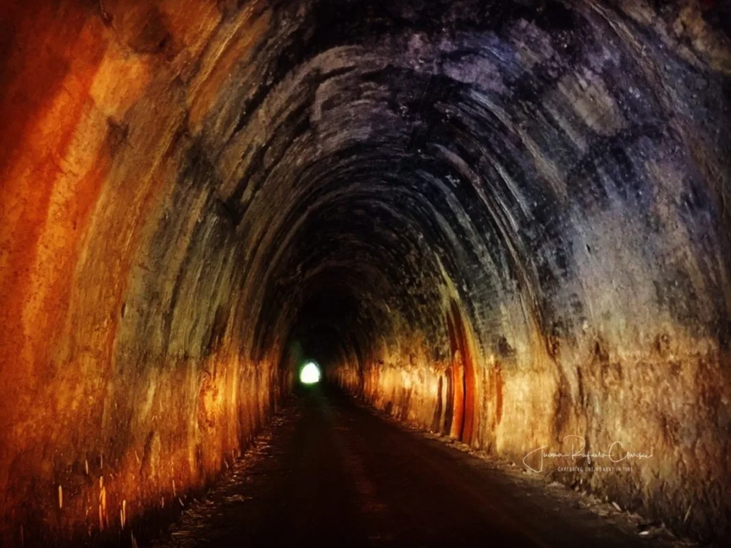 Inside Knollys Tunnel, the 660-Foot Railway Passage That Once Opened Up Tabaquite