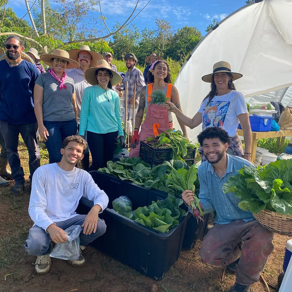 UPR Mayagüez ends agroecology partnership that trained more than 500 farmers
