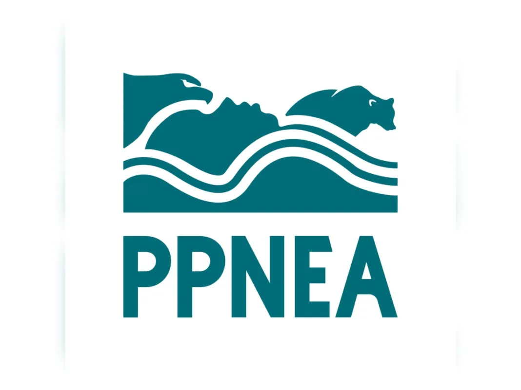 Albania’s First Environmental Group Turns 30: How PPNEA Shaped Nature Conservation