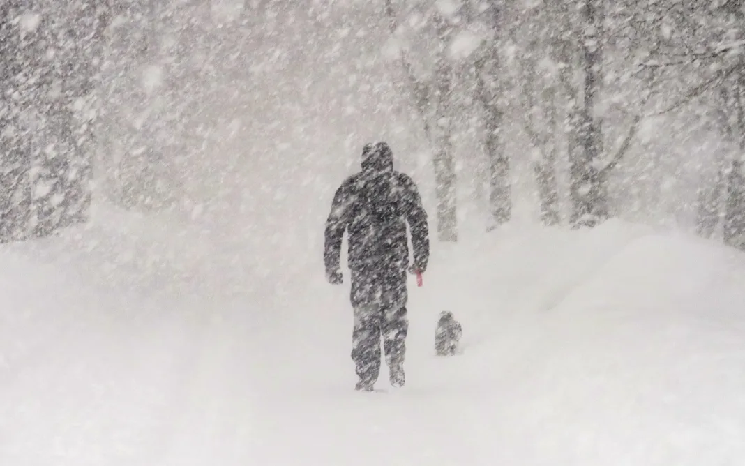 Śnieg już na początku listopada? W prognozach nawet 20 cm i silny mróz