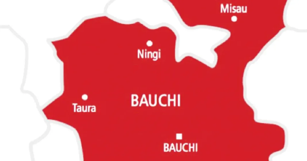 Stepmother, 19-year-old arrested over Bauchi children’s deaths