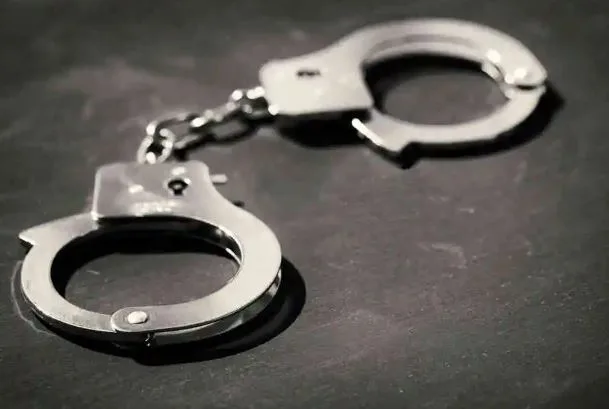 Arrestime në Berane për ndërhyrje në zgjedhjet e Serbisë: policia gjeti lista me dhjetëra emra, në kërkim Milosh Janjusheviqi